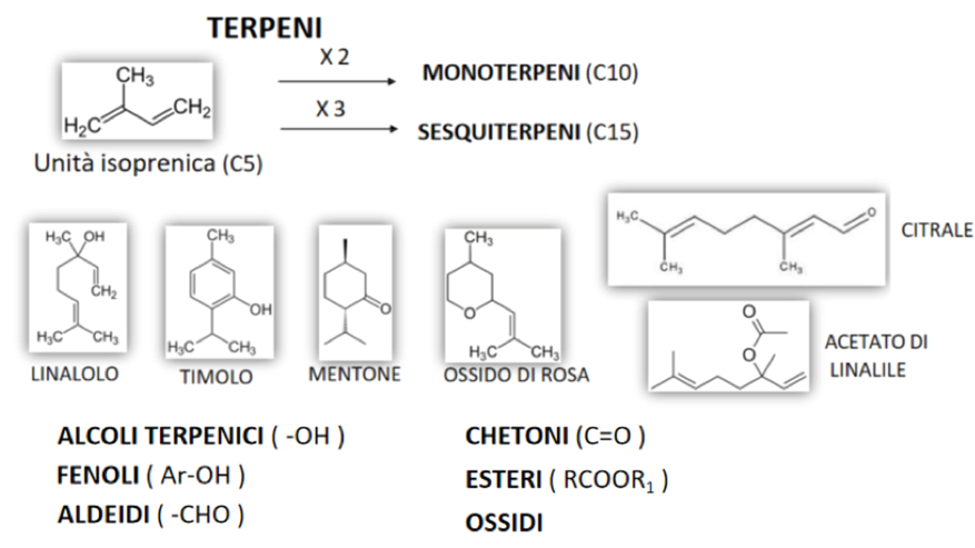 Immagine che contiene testo, schermata, diagramma, Carattere

Il contenuto generato dall'IA potrebbe non essere corretto.