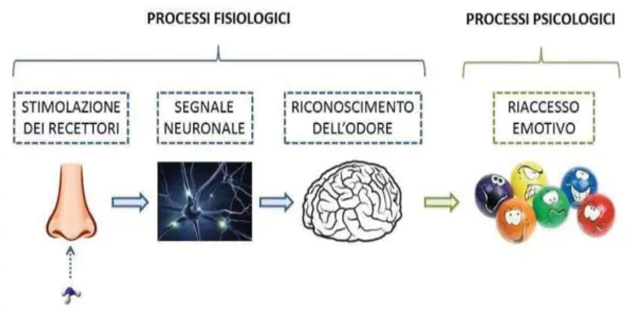 Immagine che contiene testo, schermata

Il contenuto generato dall'IA potrebbe non essere corretto.
