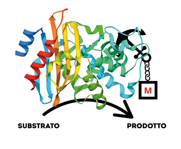 Immagine che contiene Elementi grafici, grafica, disegno, clipart

Il contenuto generato dall'IA potrebbe non essere corretto.