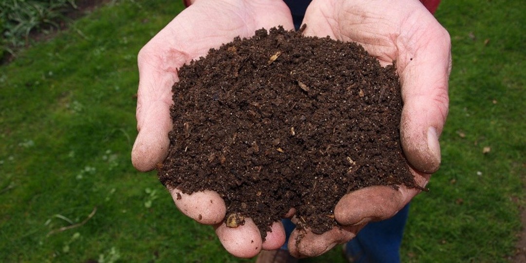 compost